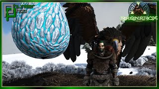 ICE WYVERN EGG TIME!Solo Ragnarok E30