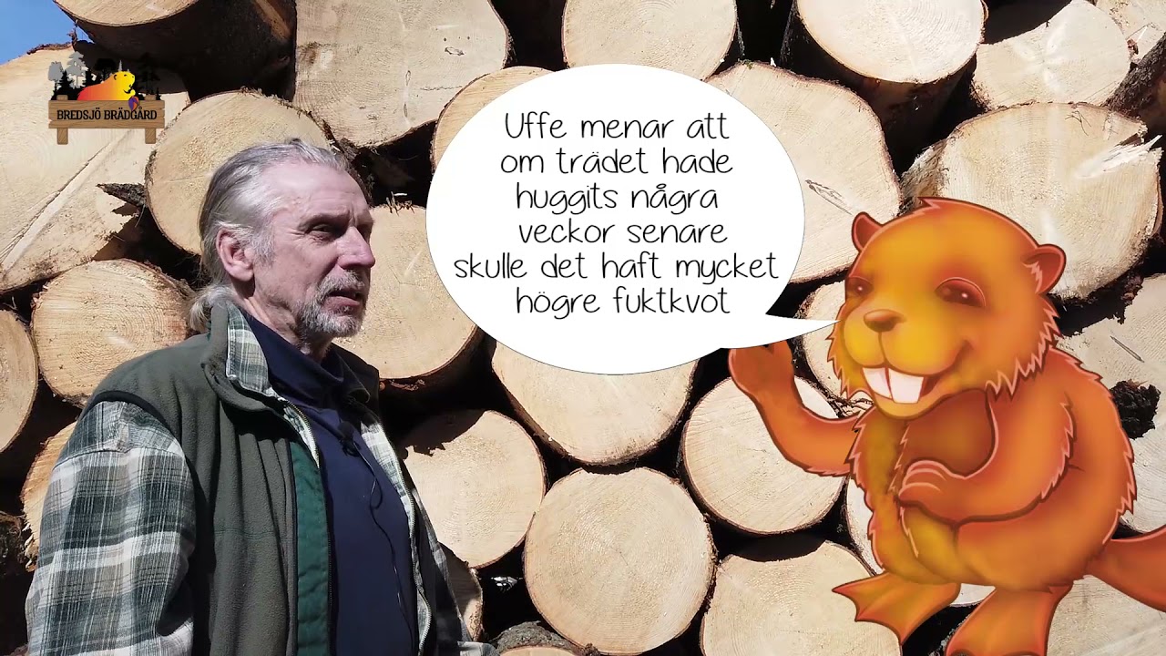 Blädning i hemmaskogen