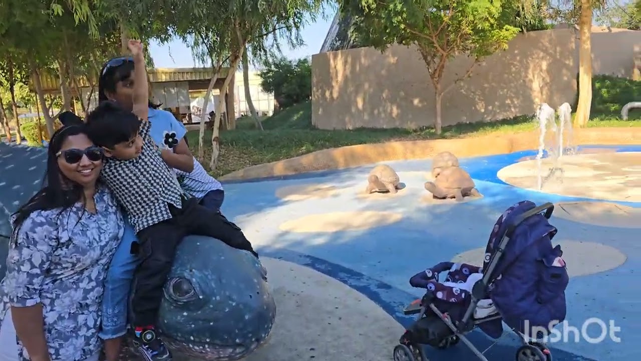 Al Ain Zoo 🐄 🐮 🐅 🐯 🐅  🐑 🐏 