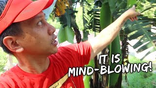 The Amazing Surprise I Found At Our Farm - July 1, 2021 | Vlog #1256