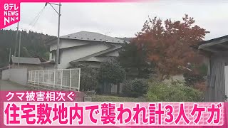 【秋田でクマ被害相次ぐ】住宅敷地内で襲われ計3人ケガ