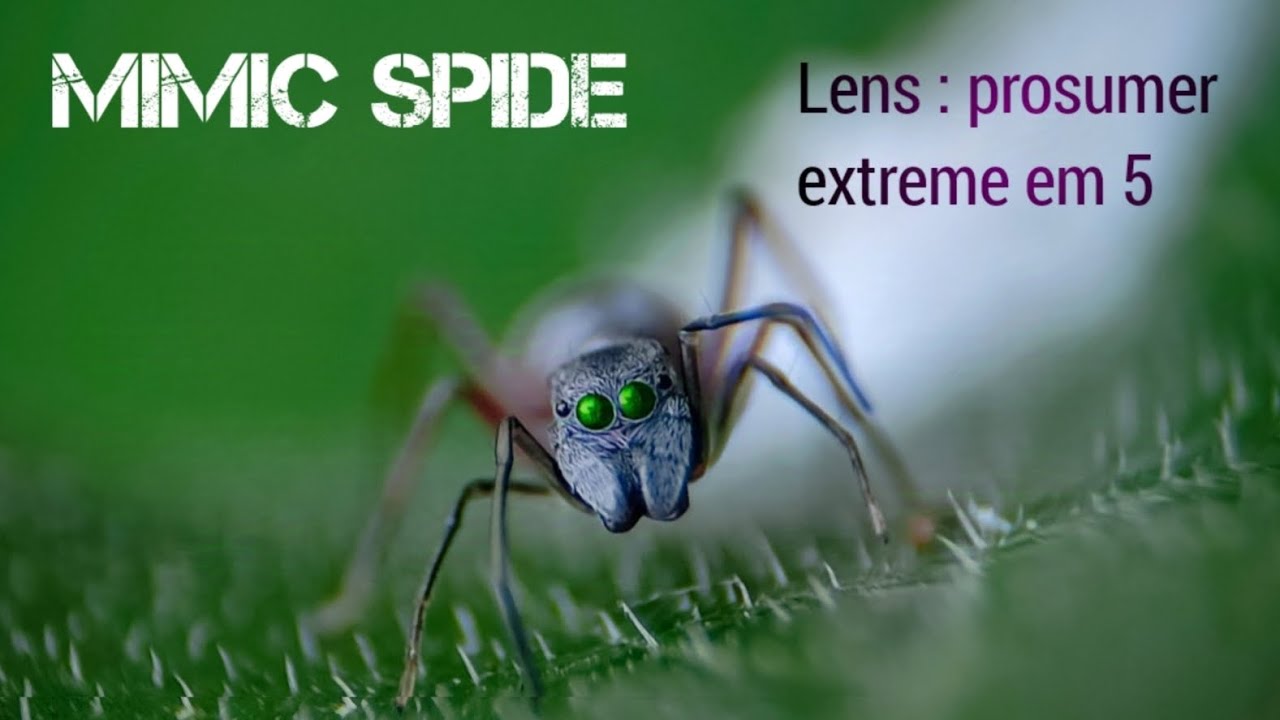 MIMIC SPIDE / Lens : prosumer extreme em 5 