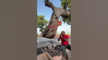 Mahadev #shiv #shivshakti #shivshankar #mahadev #mahashivratrivrat #bholenath #shambhu #shivji