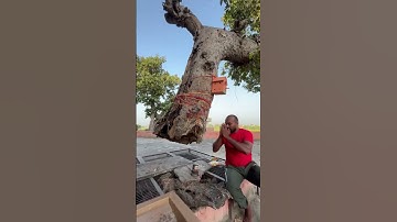 Mahadev #shiv #shivshakti #shivshankar #mahadev #mahashivratrivrat #bholenath #shambhu #shivji