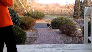 Tanks First Job.... A paper route- Jan 2011