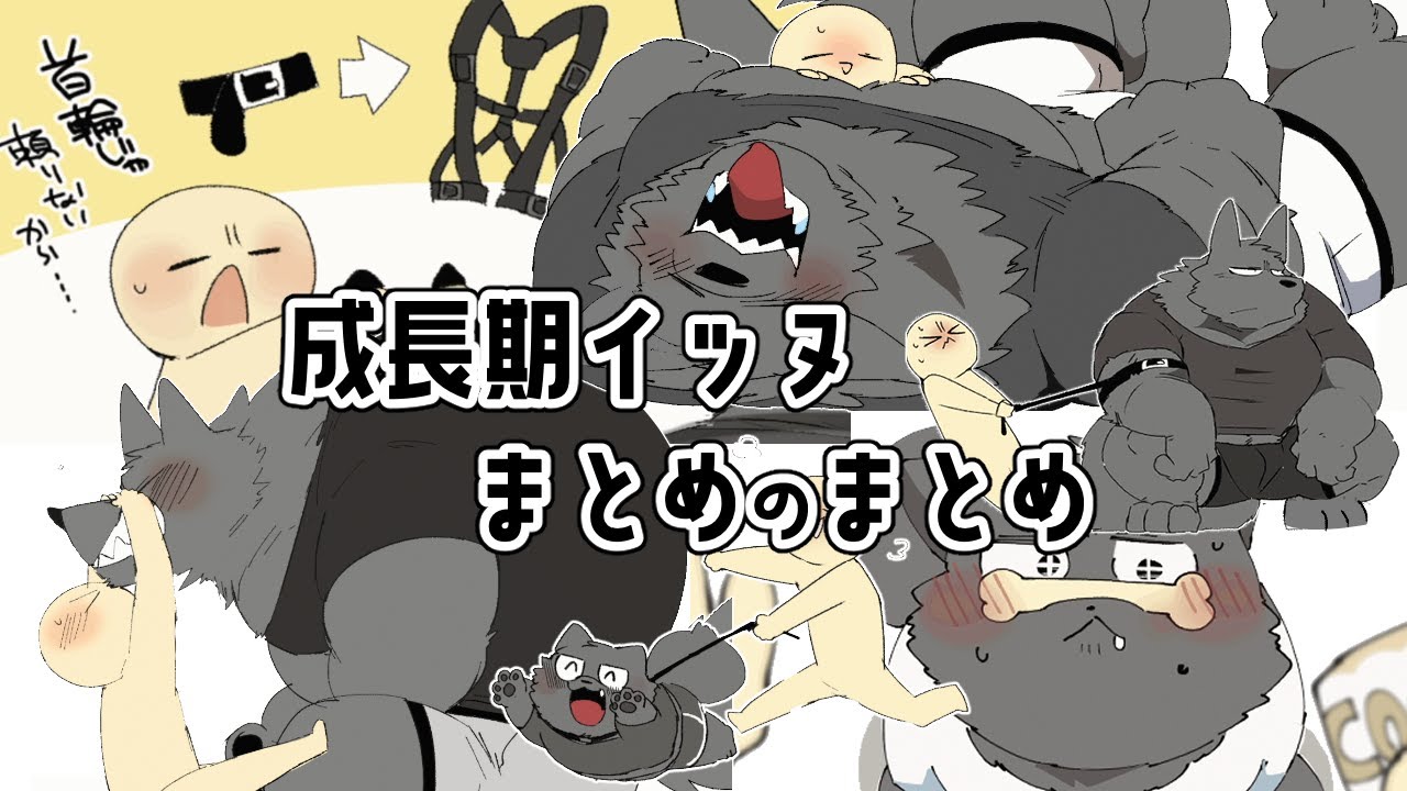 【④・⑤＋α】成長期ｲｯﾇまとめのまとめ💪🐶