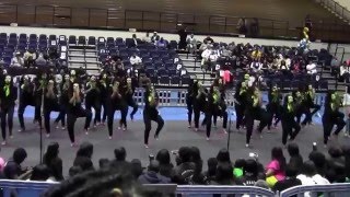 The Alpha Phi Chapter of AKA- SPG14 New Member Presentation