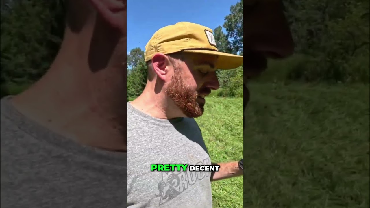 Deer Plot Strategy: Kill Plot Near Bedding Areas!