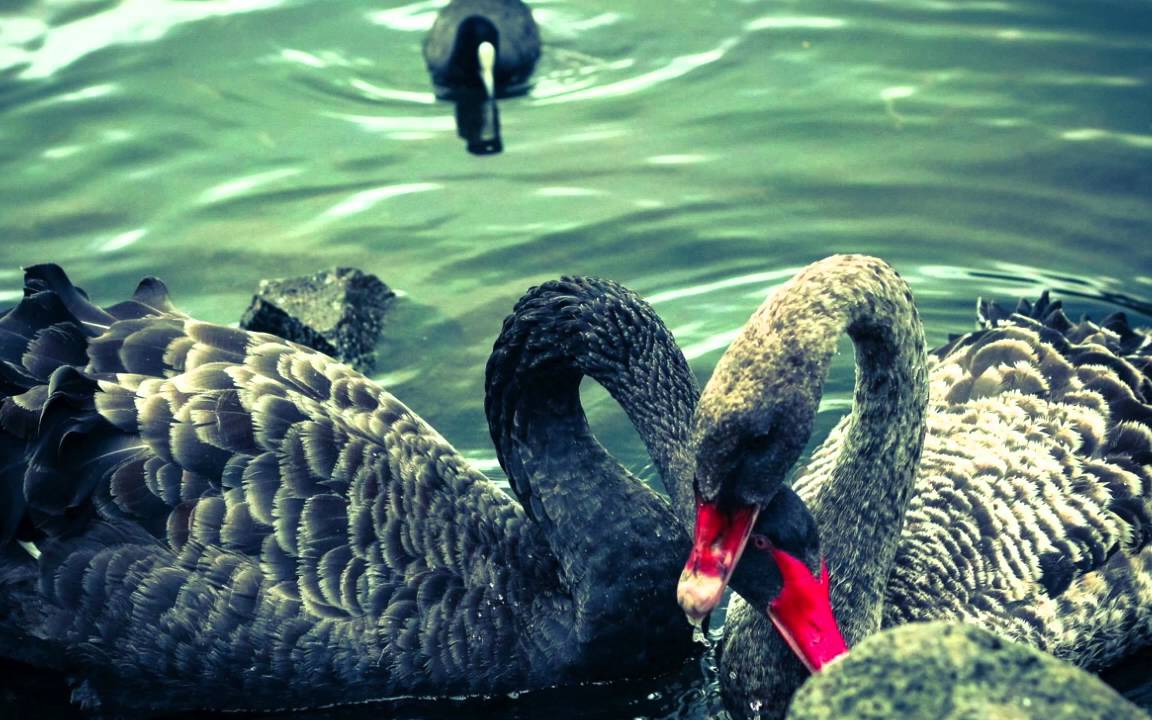 รักแท้มีอยู่จริง Piano Cover by BiiKei