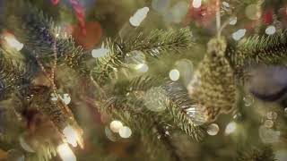 I'll Be Home For Christmas (Bossa)