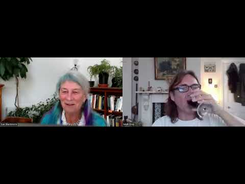 Susan Blackmore: Is the Self an Illusion? Lessons from Meditation and Neuroscience #consciousness