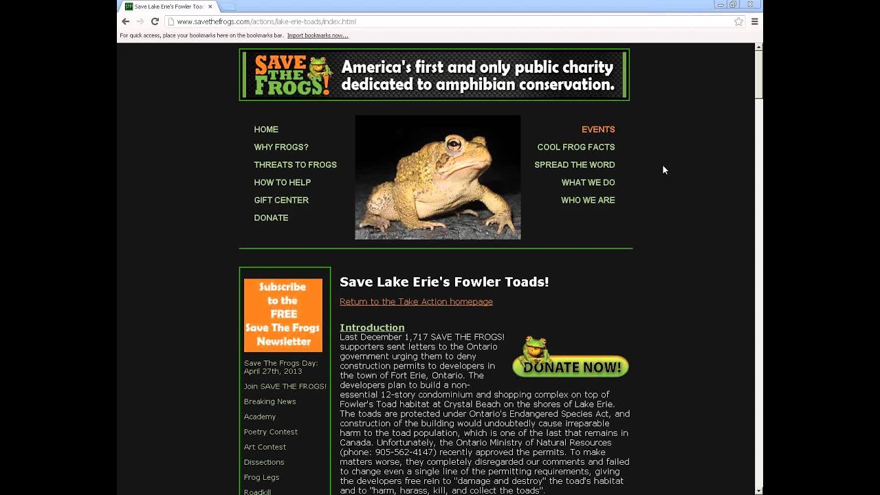 amphibians nedir Lake Erie Fowler's Toads: Class 1 - SAVE THE FROGS! Academy
