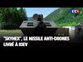 Skynex le missile anti drones livr  kiev