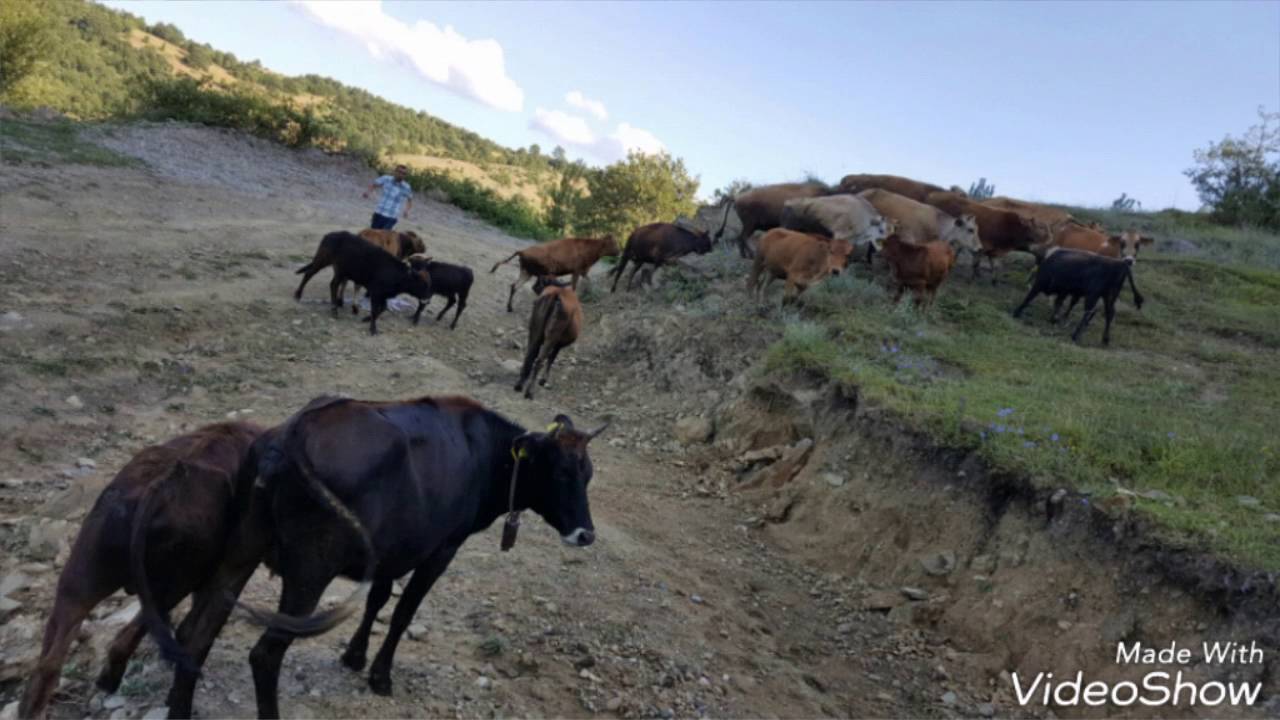 Sinop gölalan köyümüz  :)