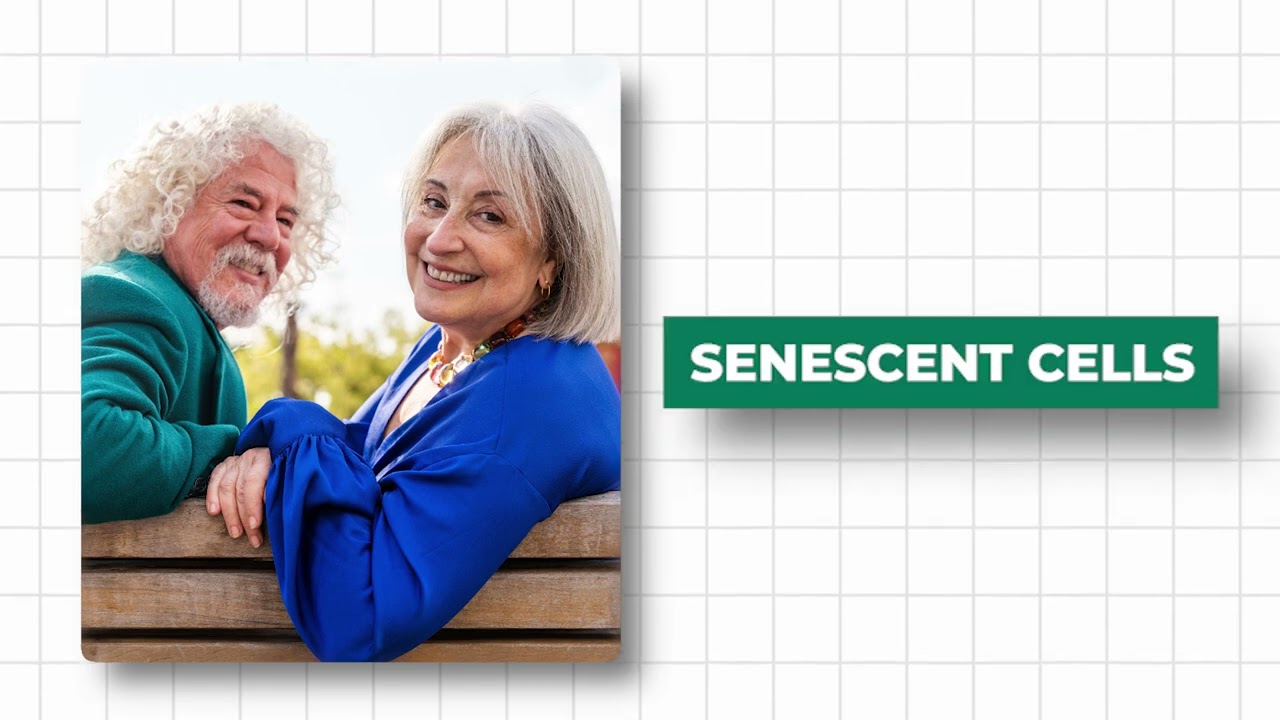 Как стареть лучше: 7 добавок, которые действительно работают!