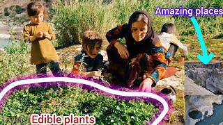 Nomad Family Foraging: Leila & 3 Kids Mountain Adventure for Edible Plants. (Astonishing) 🤯