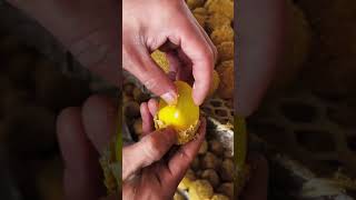 #Soft-boiled egg #Spice-flavored egg #Henan specialty #Oh my godFragrant screenshot 5