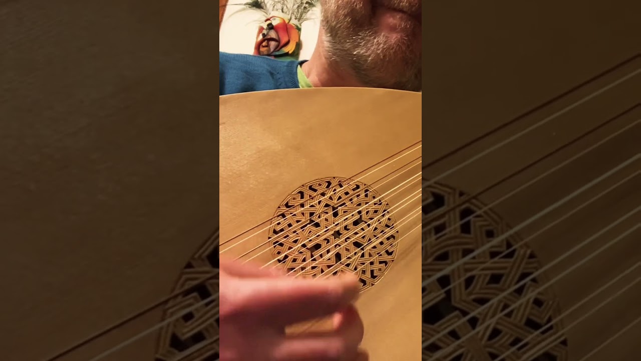 Beautiful Renaissance Lute Music 