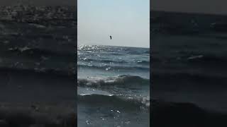 Kitesurf emozione di volare sull’acqua, sospesi tra cielo e mare