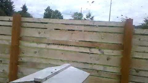 A honey bee colony swarms out of a Warre hive in Portland, OR