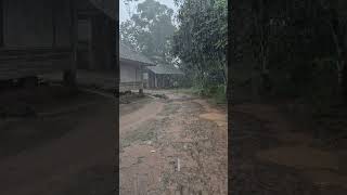 Download Lagu The atmosphere was very quiet when it rained heavily in the village. MP3