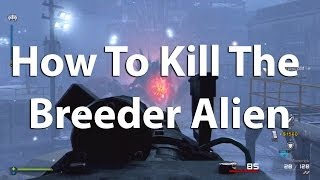 How To Kill The Giant Alien Fast: Nightfall (First Encounter)