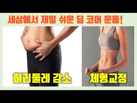 코어운동 (원심성) 뱃살빼는운동 체형교정운동 복부운동 의 기본  ft. 스포츠의학저널