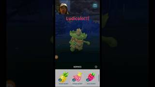 I Found A Wild Ludicolo In Pokemon Go