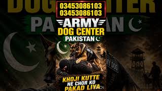 Fauji Khojji kutte contact number ! Khojji kutte Rabta number ! sniffer dog service number  Okara