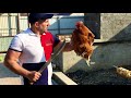 Chicken Shashlik on a turn spit