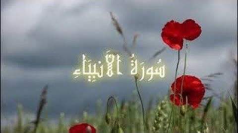 تلاوة هادئة، سورة الأنبياء، صوت رائع، هدوء و راحة، فضيلة الشيخ توفيق الصايغ. Sourate Al-Anbiyaa