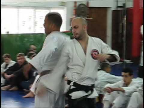 CRAZY Jiu-Jitsu & Krav Maga Demo by Roy Elghanayan!
