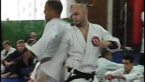 CRAZY Jiu-Jitsu & Krav Maga Demo by Roy Elghanayan!