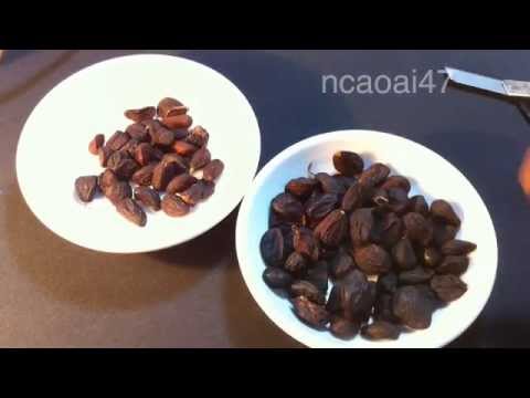Video Fishing - How to make Carp bait-Secret spices (61)Mồi... - youtube