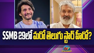 Another Telugu Star Hero in Mahesh Babu's #SSMB29..? | S S Rajamouli | Vijayendra Prasad | @NTVENT