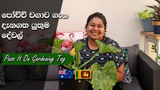 ඔයා තාමත් වවන්න කම්මැලිද? 'Pass it on' Gardening tag @kangaroodeshayen8033 | Sinhala