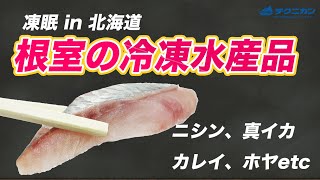 【水産物の急速冷凍】マルカツ福島商店様 | 凍眠導入事例