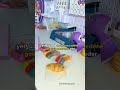 Bu Video Karşına Boşuna Çıkmadı… #psikoloji #gelişim #sevgi #kedi