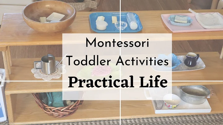 These are always on my shelves! Care of Environment, Practical Life. Montessori Toddler Activities