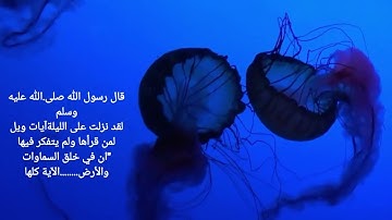 آيات بكى الرسول عندما نزلت عليه