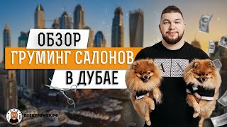 видео: Обзор груминг салонов в Дубае | Данил Рындевич и Юлия Дягель Блэкгрумер.рф картинка: Обзор груминг салонов в Дубае | Данил Рындевич и Юлия Дягель Блэкгрумер.рф