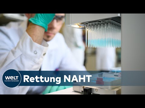 Video: Compliance Bei Säuglingen, Die Dem Hepatitis-B-Virus Ausgesetzt Waren, In Einem Serologischen Testprogramm Nach Der Impfung In Vier Provinzen In China