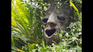 Tree Spirits  Making masks using wire and tree bark that double as nesting boxes.