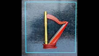 Harp Cocoon | harp: Laura Lotti