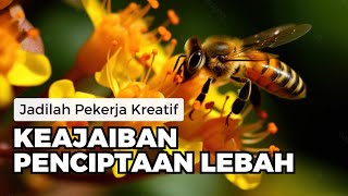 Belajar Bijak Dari Kehidupan Lebah | @OH-IYAA