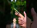 Short gan amazing video new green screen Bamboo House #trending #birdtoys #diycrafts #birds #toys