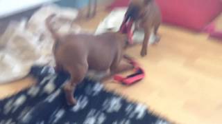 Deška A Devisme Brenneke Tow