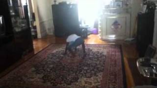 Black Girl Doing Gymnastics