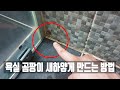 욕실 곰팡이 싹 다 마실건가요?, 전문가가 알려준 욕실 곰팡이 제거 방법 cleaning