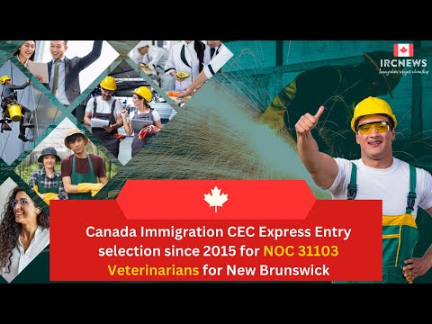 CEC Express Entry selection since 2015 for NOC 31103 Veterinarians for New Brunswick